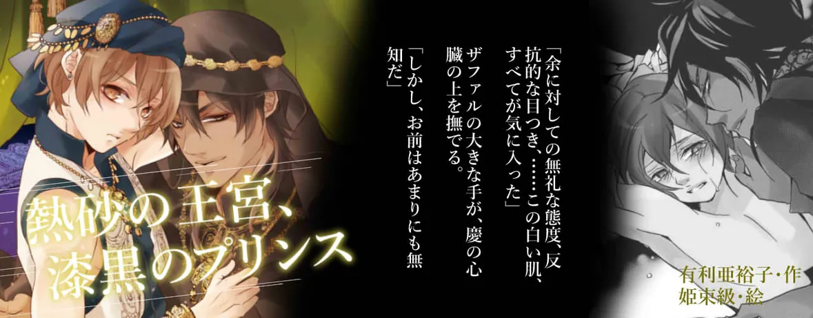 BL小説/熱砂の王宮、漆黒のプリンス