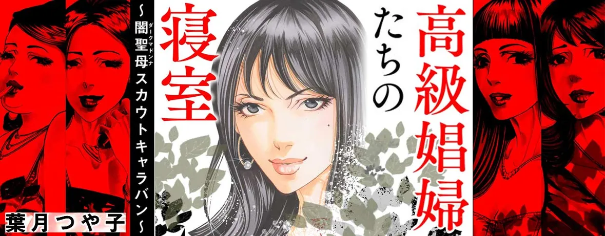 高級娼婦たちの寝室 ～闇聖母スカウトキャラバン～