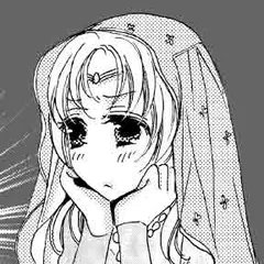 小説/恋するマハラジャ～砂漠の囚われ姫